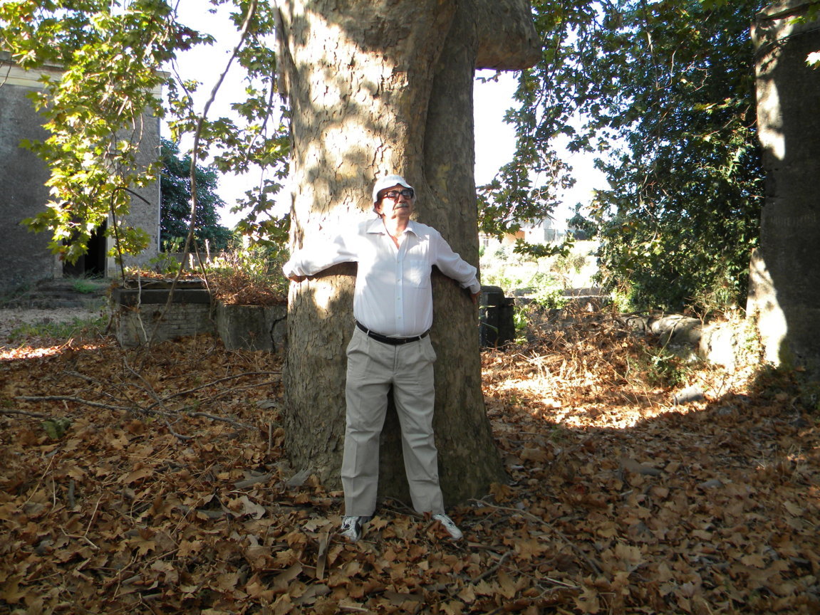 DSCN8036 .JPG